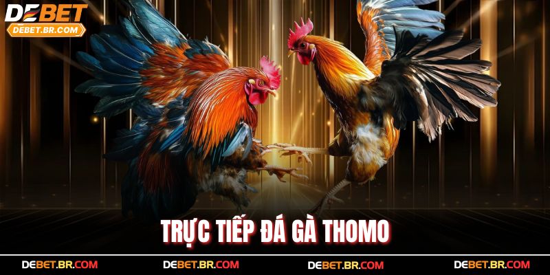 Trực Tiếp Đá Gà Thomo